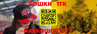 МДПВ Будённовск