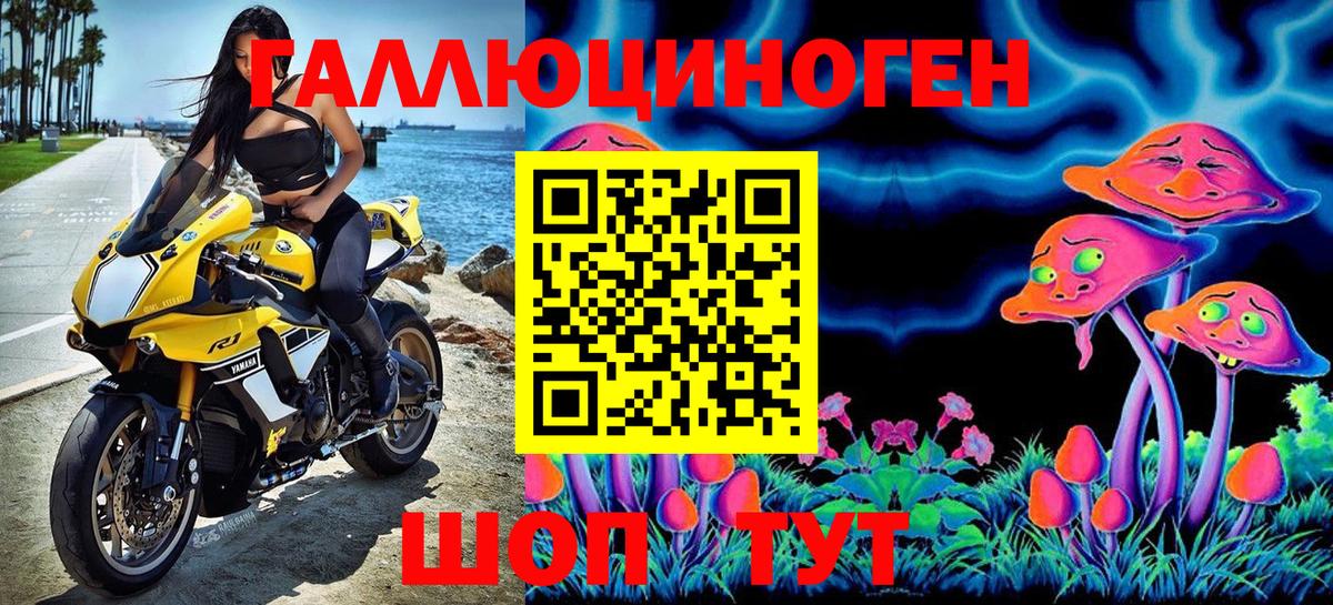 Псилоцибиновые грибы GOLDEN TEACHER Красногорск