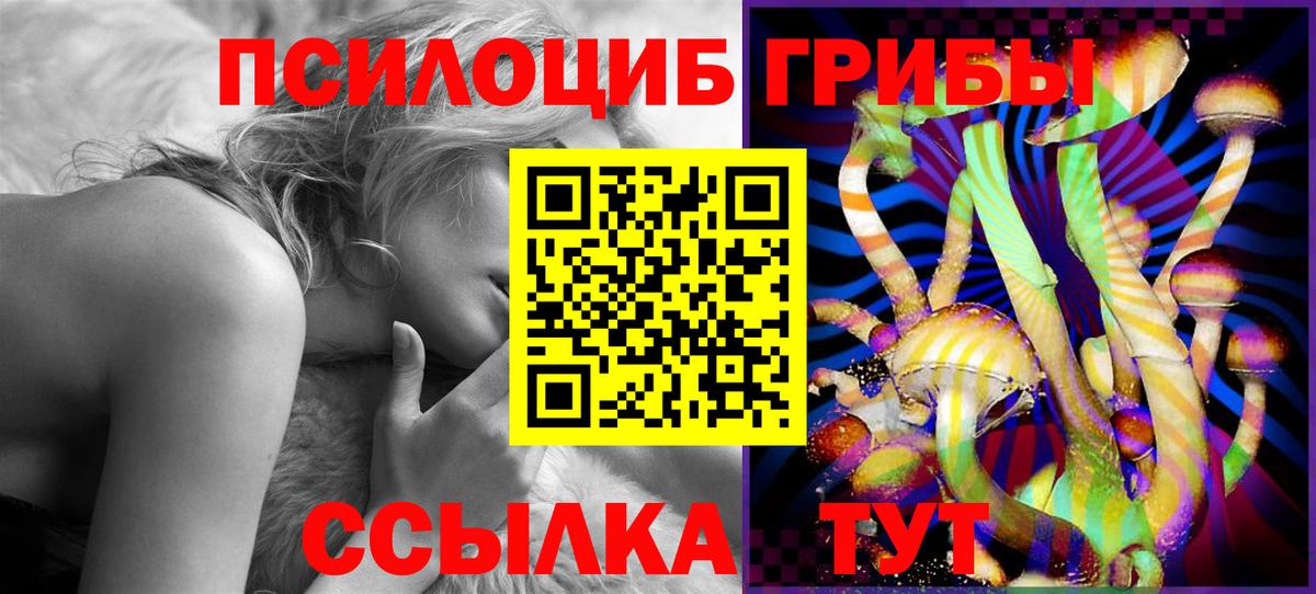 Псилоцибиновые грибы MAGIC MUSHROOMS  Вход с VPN  Красногорск 